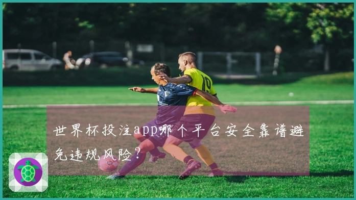 世界杯投注app哪个平台安全靠谱避免违规风险？