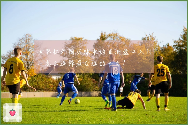 世界杯外围买球中的亚洲盘口入门，怎么选择最合适的平台？