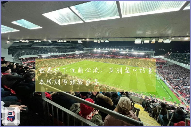 世界杯下注前必读：亚洲盘口的基本规则与经验分享