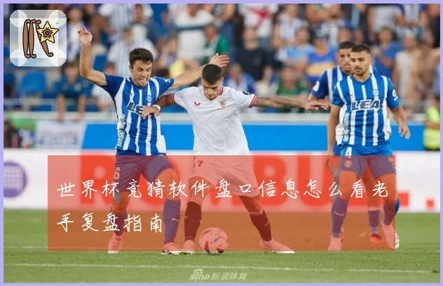 世界杯竞猜软件盘口信息怎么看老手复盘指南