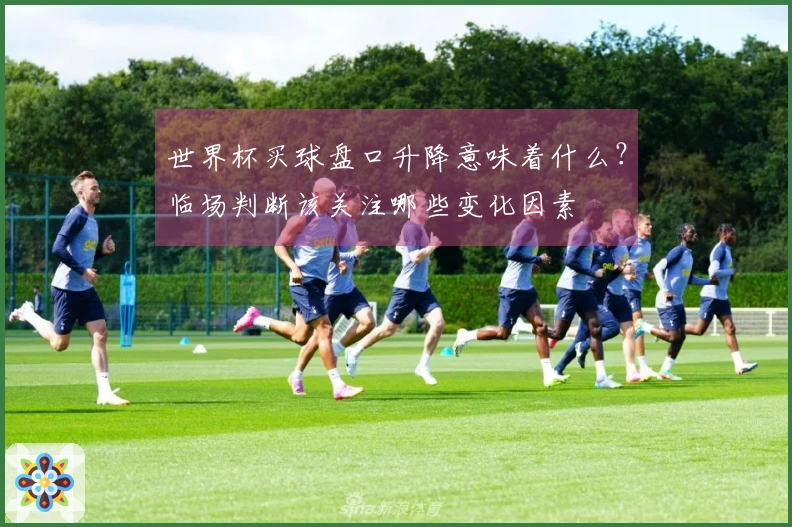 世界杯买球盘口升降意味着什么？临场判断该关注哪些变化因素