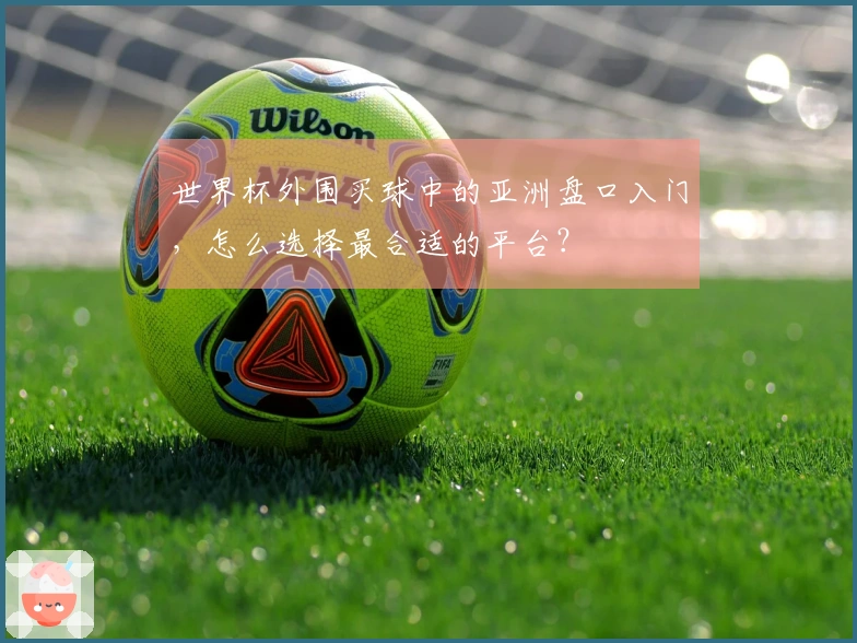 世界杯外围买球中的亚洲盘口入门，怎么选择最合适的平台？