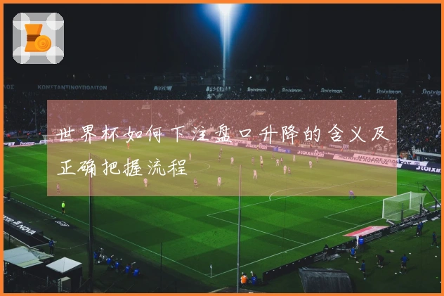 世界杯如何下注盘口升降的含义及正确把握流程