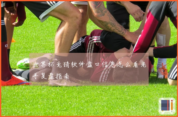 世界杯竞猜软件盘口信息怎么看老手复盘指南