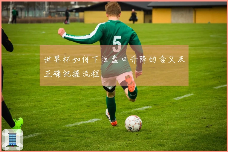 世界杯如何下注盘口升降的含义及正确把握流程